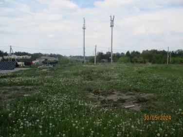"Вам Решать!" 2024 год